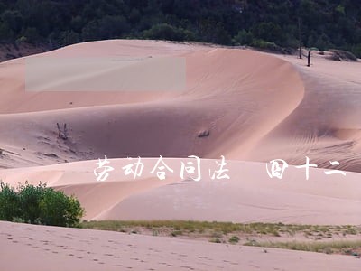 劳动合同法 四十二 劳动合同法 四十二